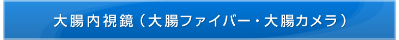 大腸内視鏡（大腸ファイバー・大腸カメラ）