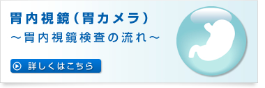 胃内視鏡　胃カメラ　胃内視鏡検査の流れ