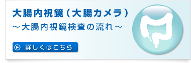 大腸内視鏡　大腸カメラ　大腸内視鏡検査の流れ